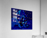 Cheval de mer Acrylic Print