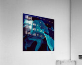 Replisses  Acrylic Print