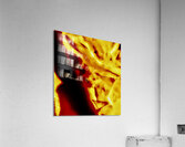 Abstraction  Acrylic Print