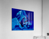 Hippocampe  Acrylic Print