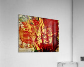 Illusion II Acrylic Print
