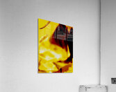 Abstraction  Acrylic Print