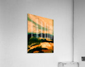 Verdoyant  Acrylic Print