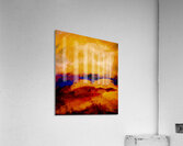 Terre chaude  Acrylic Print