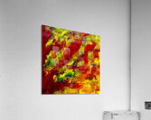 Perroquet  Acrylic Print