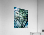 Abstraction III Acrylic Print