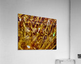 Abstraction V Acrylic Print