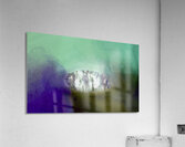 Cocoon  Acrylic Print