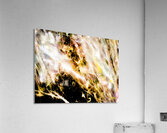 La fete  Acrylic Print