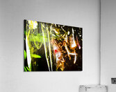 Abstraction  Acrylic Print
