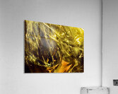 Abstraction  Acrylic Print