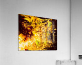 Abstraction  Acrylic Print