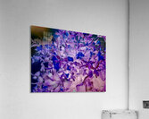 Fleurs  Acrylic Print