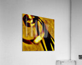 Serpentins  Acrylic Print