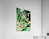 Abstraction  Acrylic Print