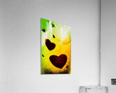 Coeurs separes  Acrylic Print