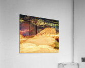 Abstraction  Acrylic Print