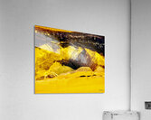 Abstraction  Acrylic Print