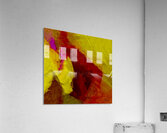 Observation  Acrylic Print