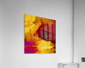 Observation 2 Acrylic Print