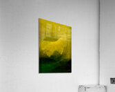 Les monts Acrylic Print