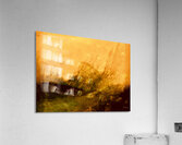 Paysage dore  Acrylic Print