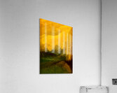 Neige eternelle  Acrylic Print