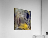Abstraction  Acrylic Print