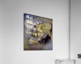 Abstraction  Acrylic Print