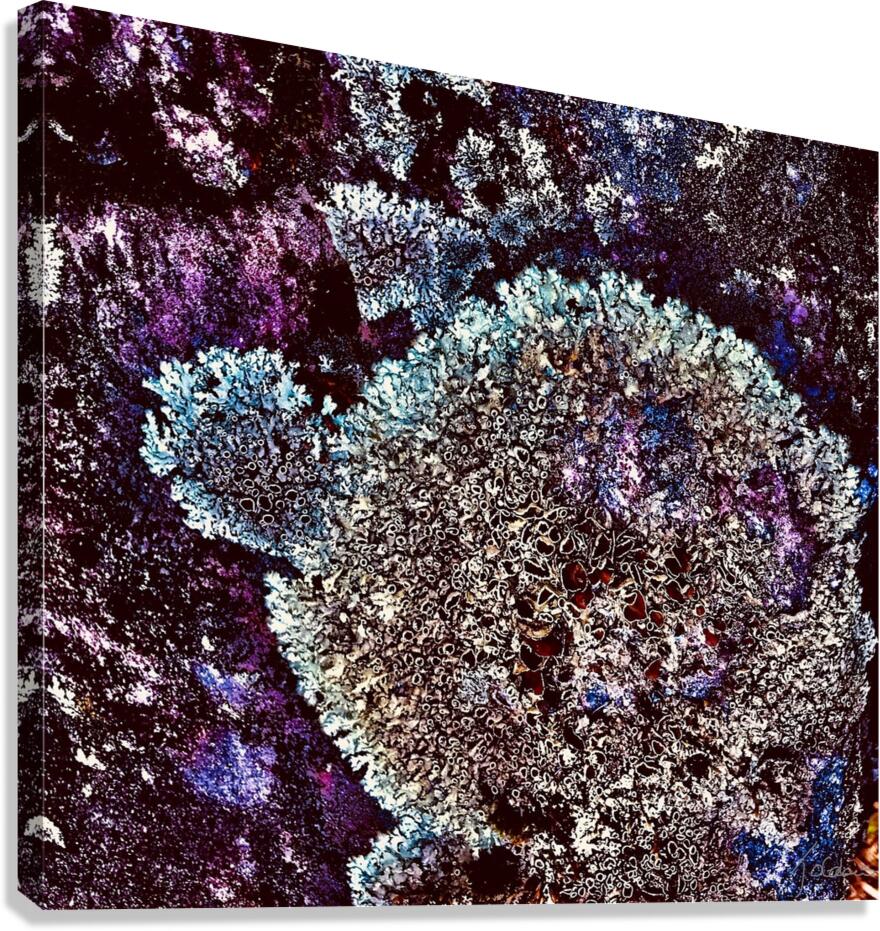 Chardonnerets 2 Canvas Print