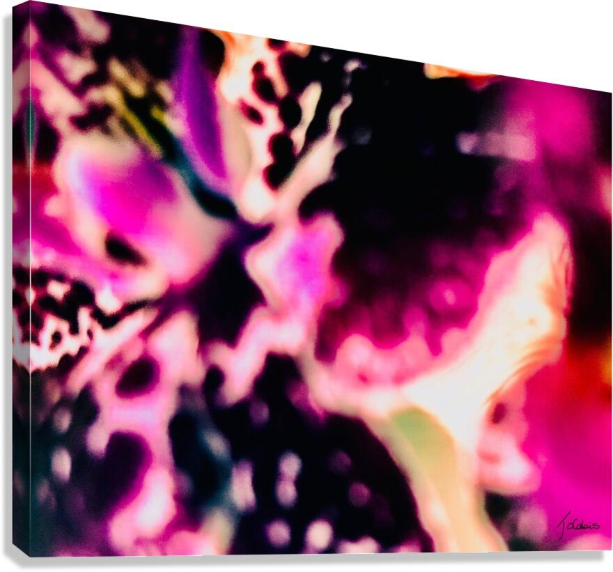 Mauve orchidee  Canvas Print