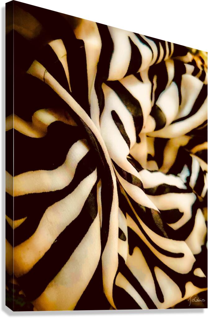 Noir et blanc  Canvas Print