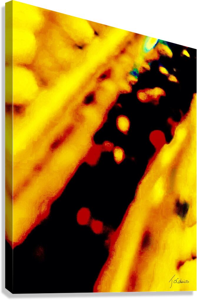 A l’infrarouge  Canvas Print
