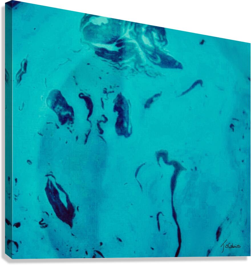 En toute simplicite  Canvas Print