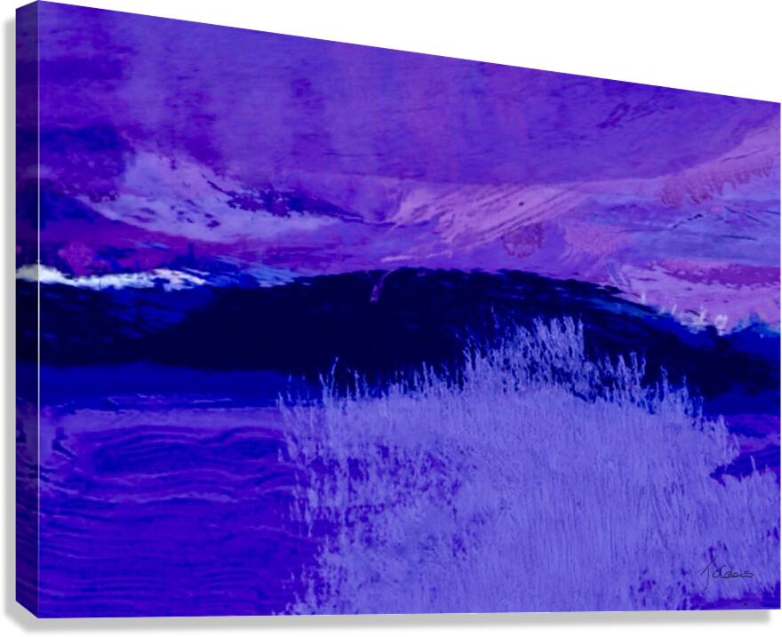 Bleu lavande  Canvas Print