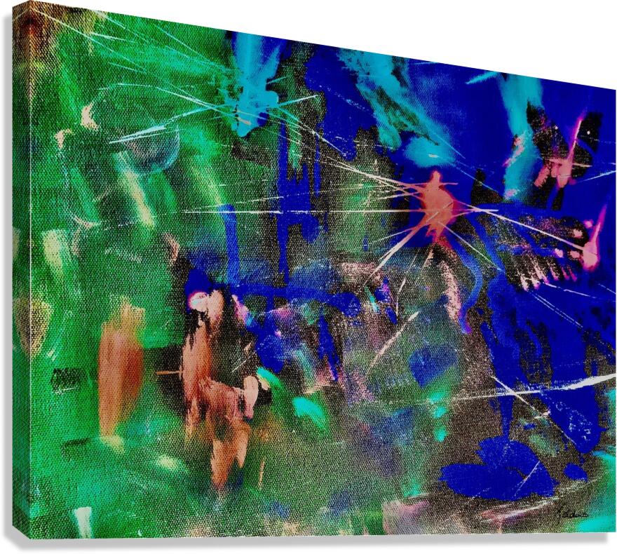 Feux d’artifices Canvas Print