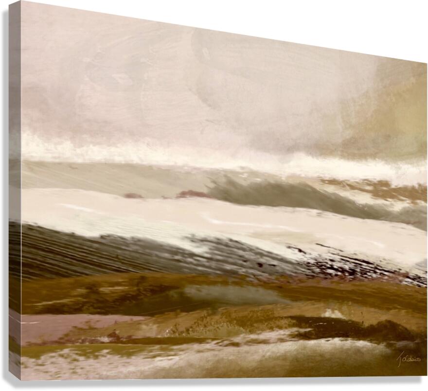 Paysage zen Canvas Print