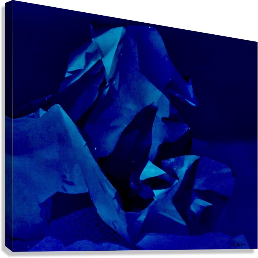 Cheval de mer Canvas Print
