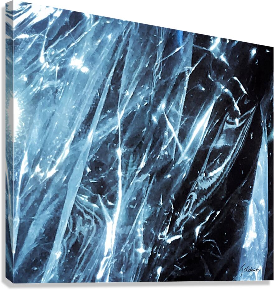 Abstraction  Canvas Print