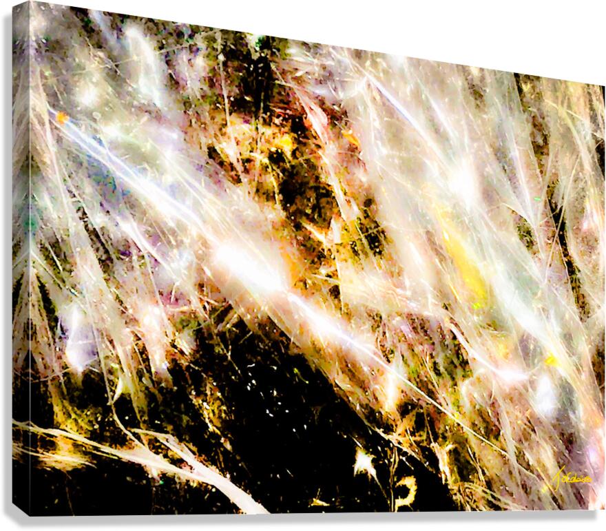 La fete  Canvas Print