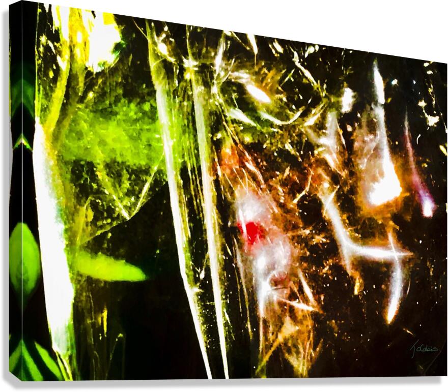 Abstraction  Canvas Print