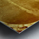 Coeur d’or Metal print
