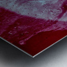 Rouge betterave  Metal print