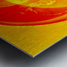 Cercle de feu Metal print