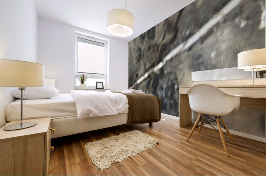 Pierre Jolabis  Mural print