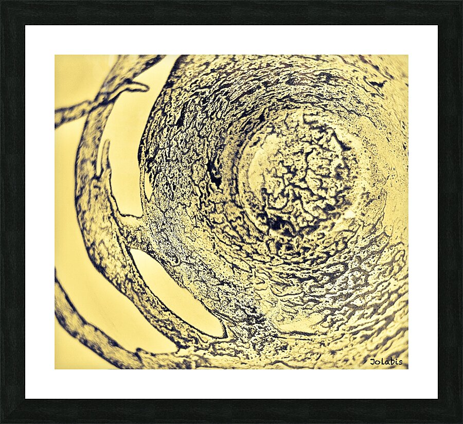 observation  Picture Frame print