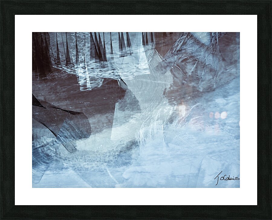 Voiliers  Picture Frame print