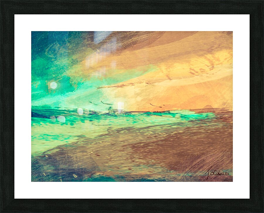 Les pelicans  Picture Frame print