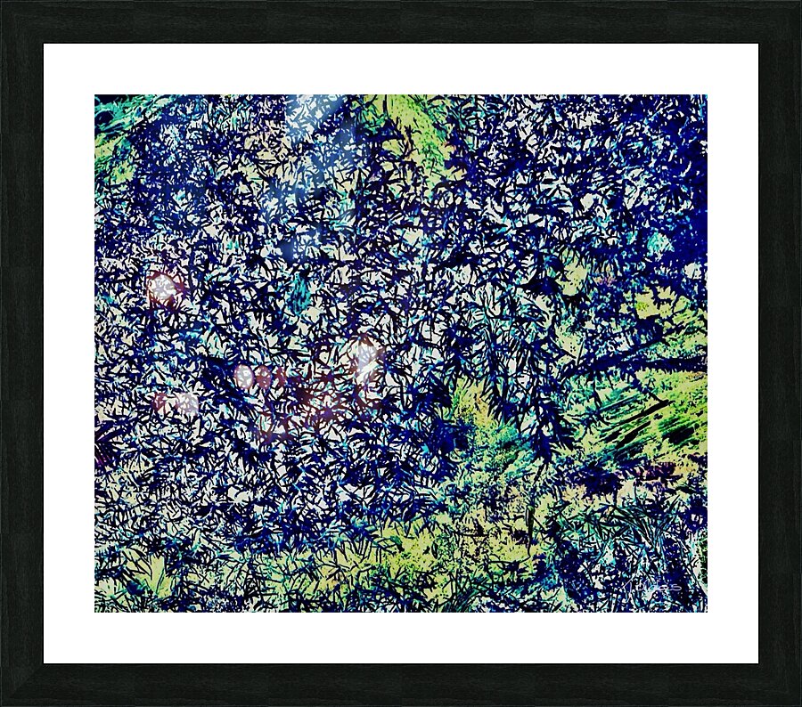 Chardons Picture Frame print