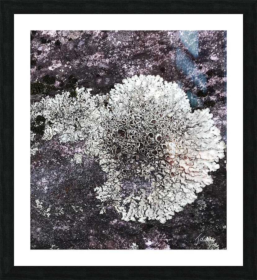 Mousse Picture Frame print